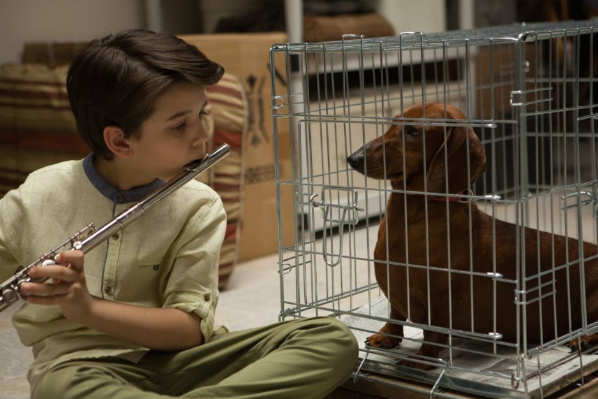 Photo Courtesy of Annapurna Pictures 