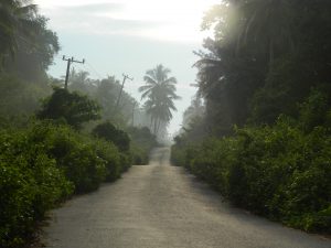 dscn7103
