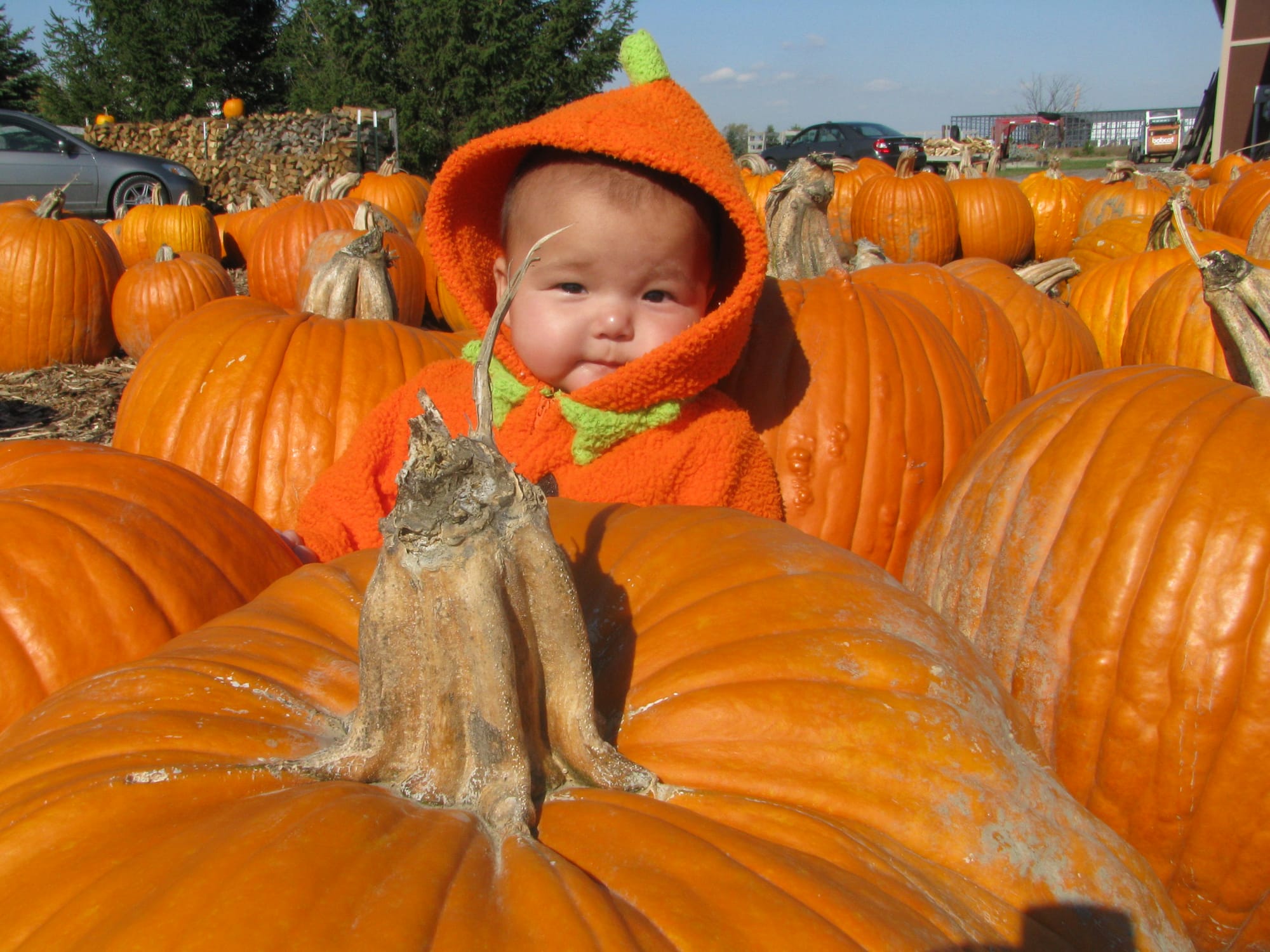 Trick or Treat: Do grown-ups care about Halloween anymore?