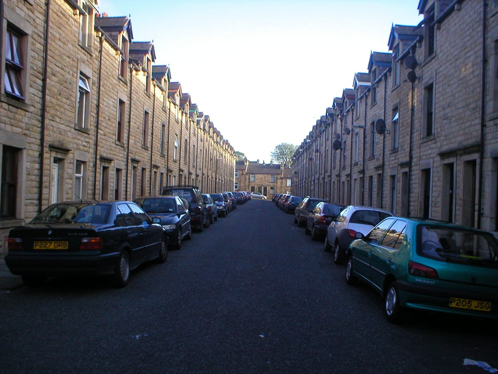 Student designs landlord rating website