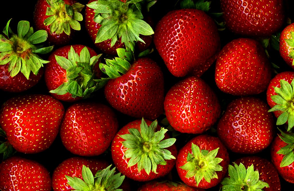 Perfect healthy food combinations