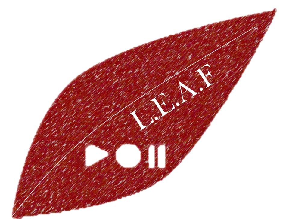 Review: LEAF 2014