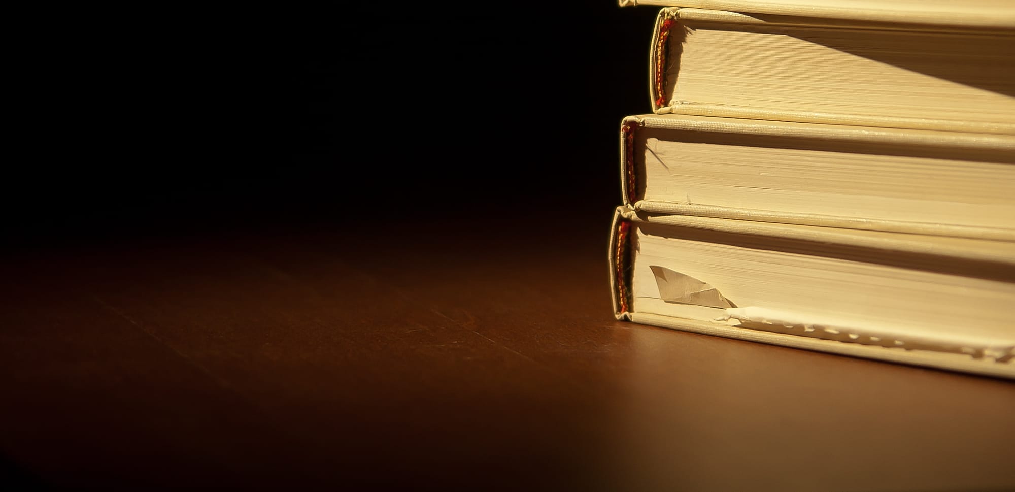 Preview: Litfest 2014