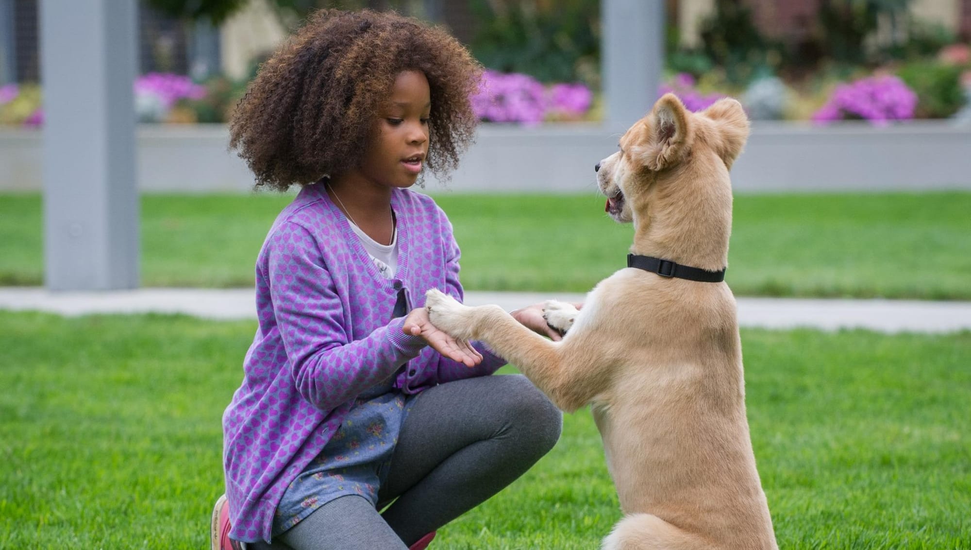 Review: Annie