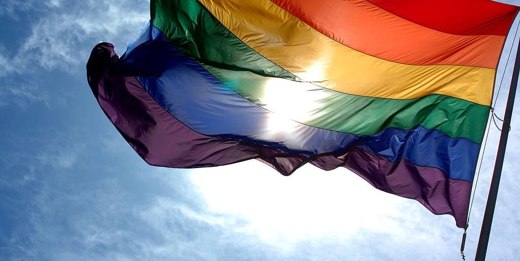 LGBTQ+: A broken organisation?