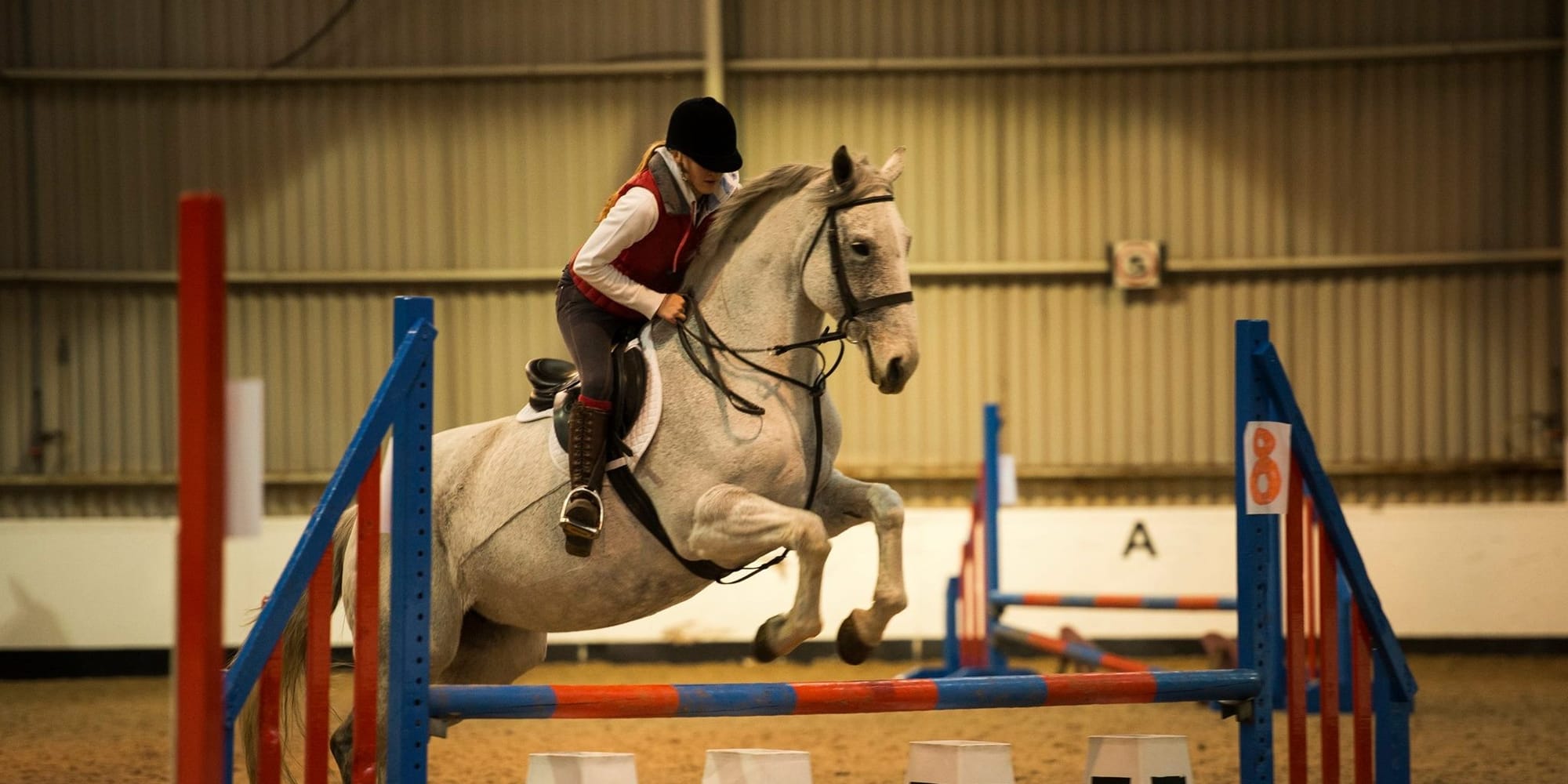 The Club Column: Equestrian
