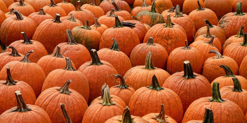 Trick, not Treat