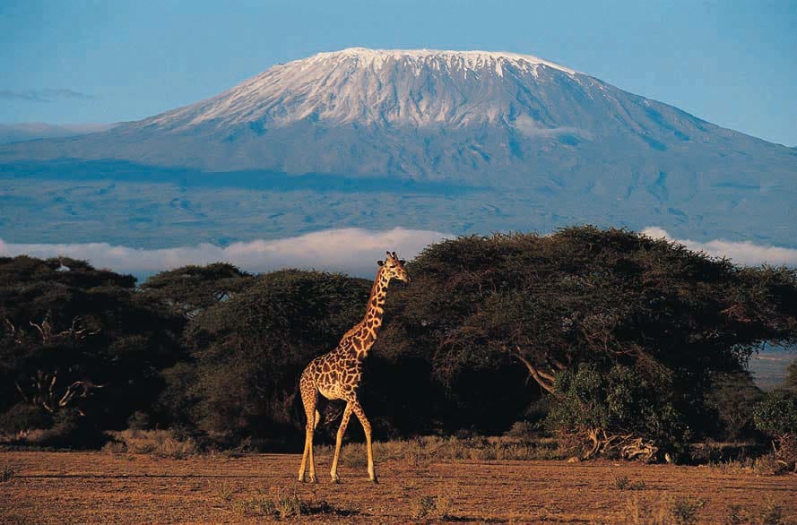 Opportunity to Trek Mount Kilimanjaro for Safe Water Charity, Dig Deep