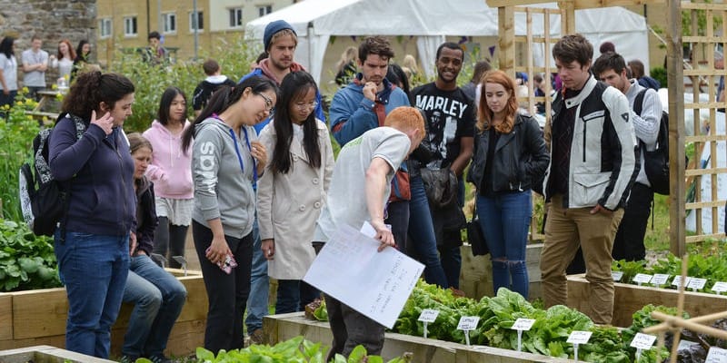 Growing the EcoHub