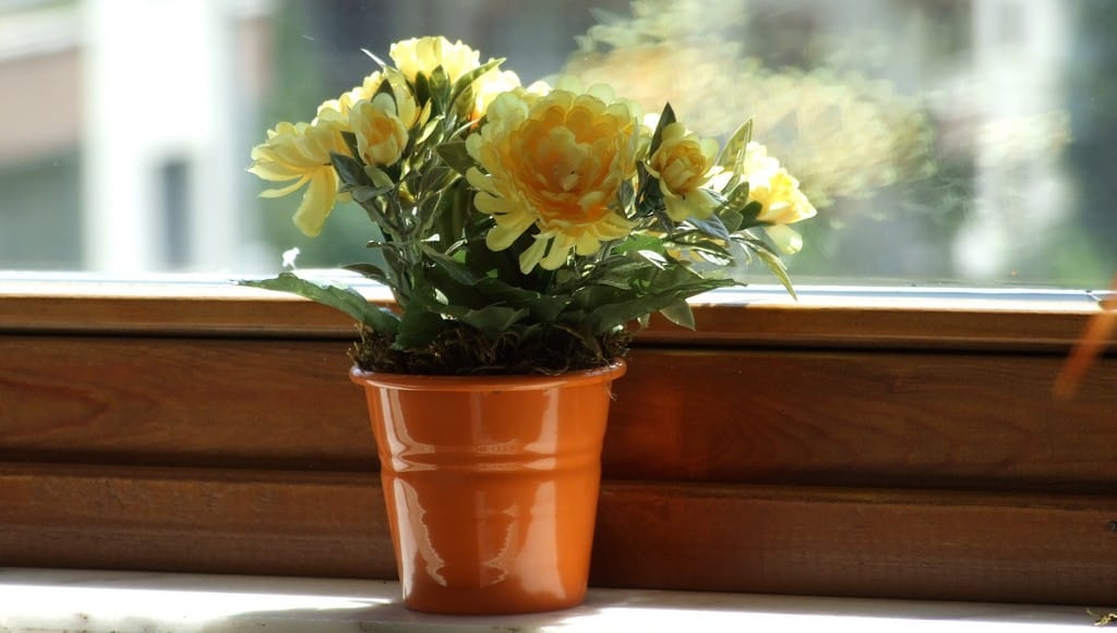 Grow your way to better health
