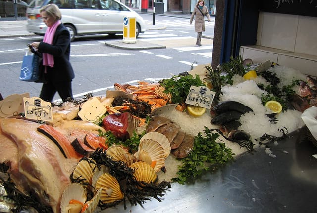 Fresh Food For The Fresh Term
