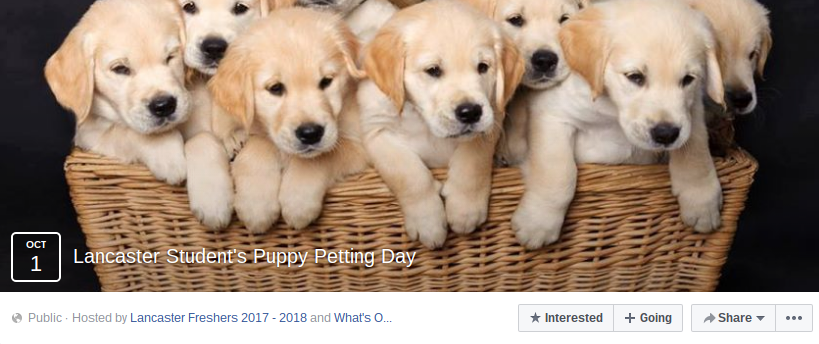 SCAN Investigates: Fake Facebook events