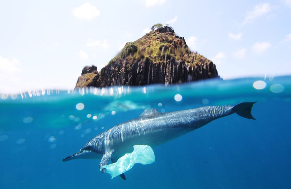 Be Fantastic, Reduce your Plastic