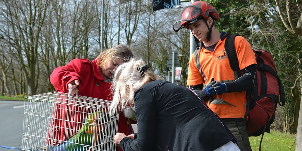 Lancaster campus is parrot-dise for lost pet