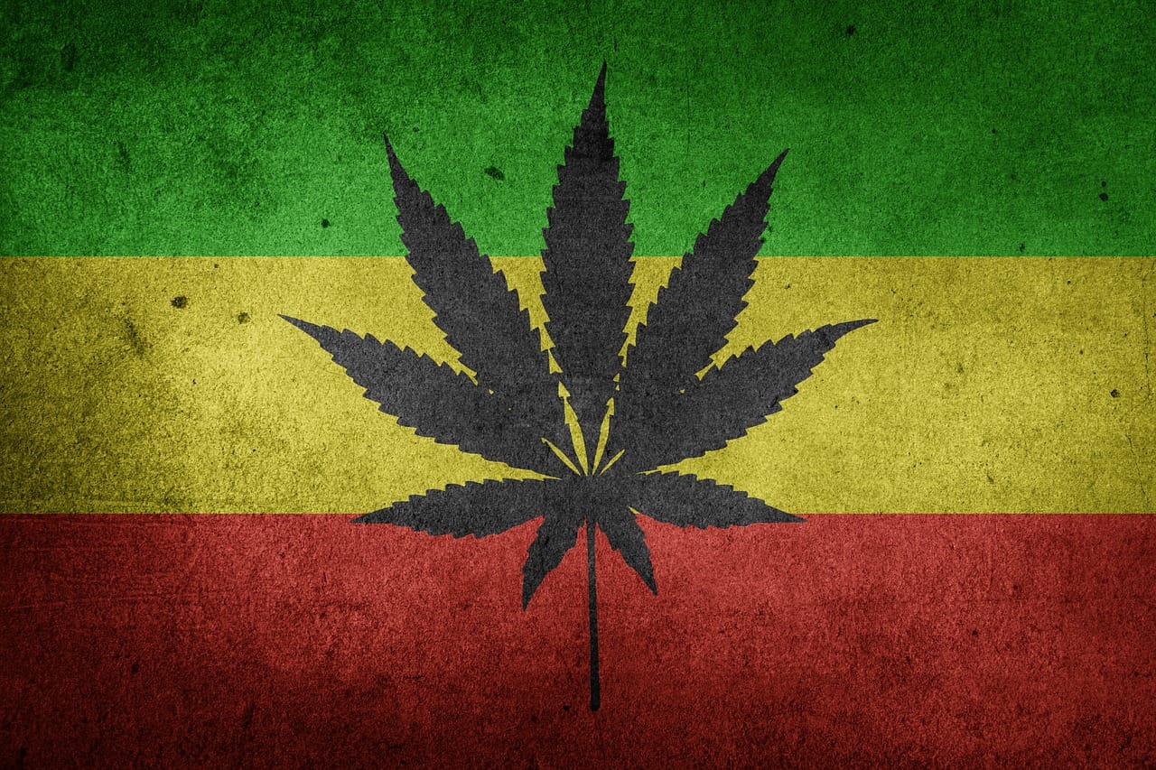 Should we legalise cannabis for the sake of the economy?