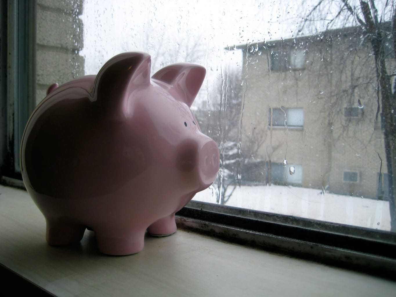 The plight of the “starving student”: no laughing matter