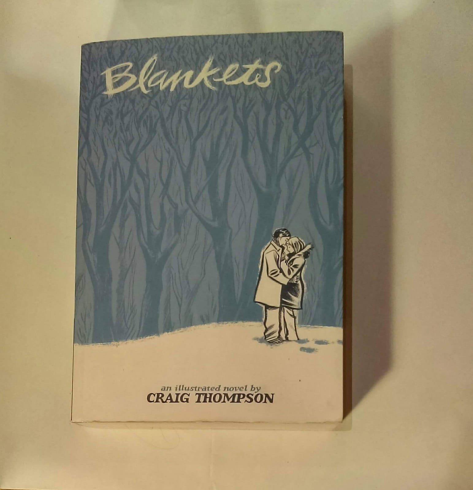Comic Stands: The Graphic Novel Autobiography