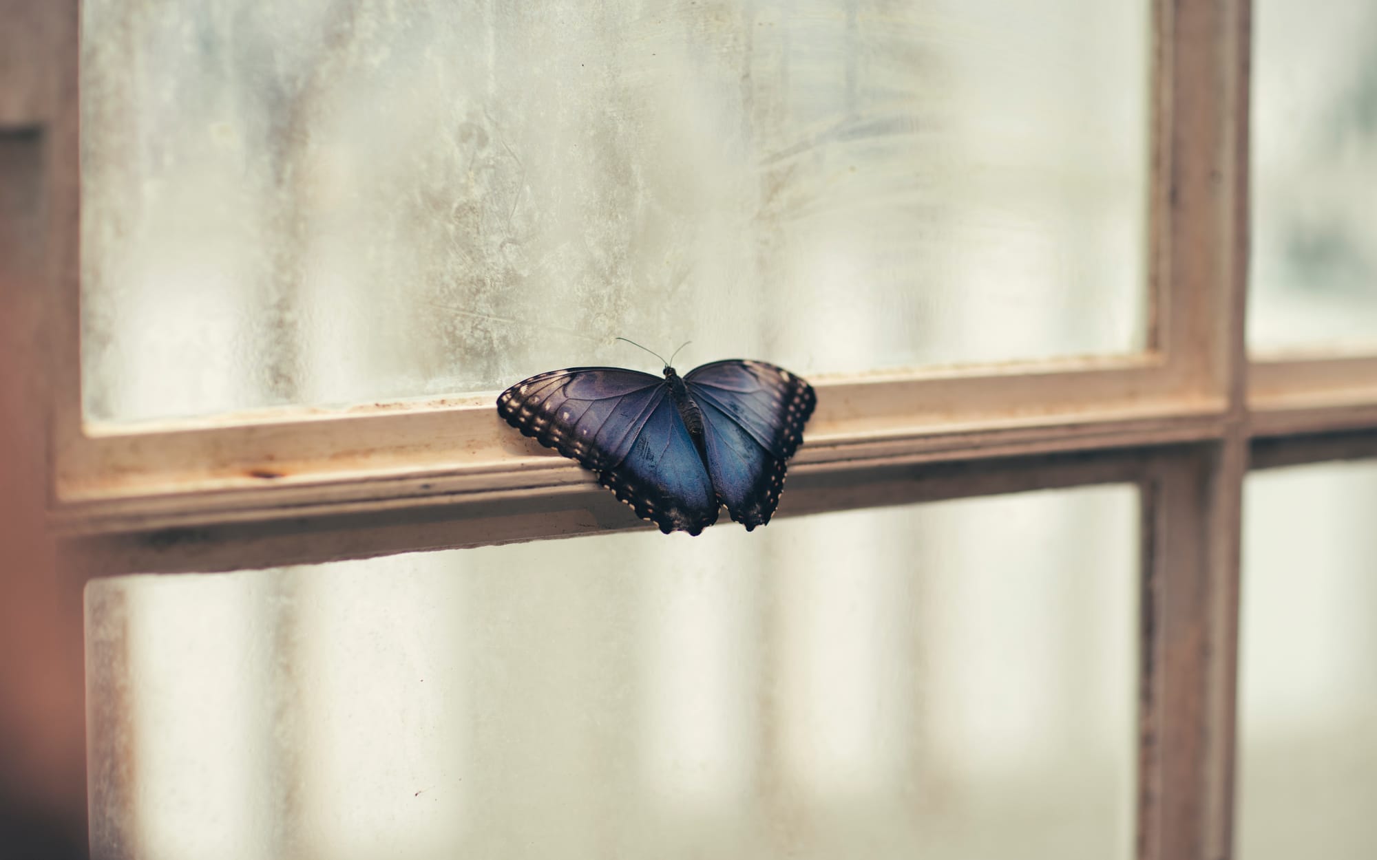 My Story: The anxious social butterfly
