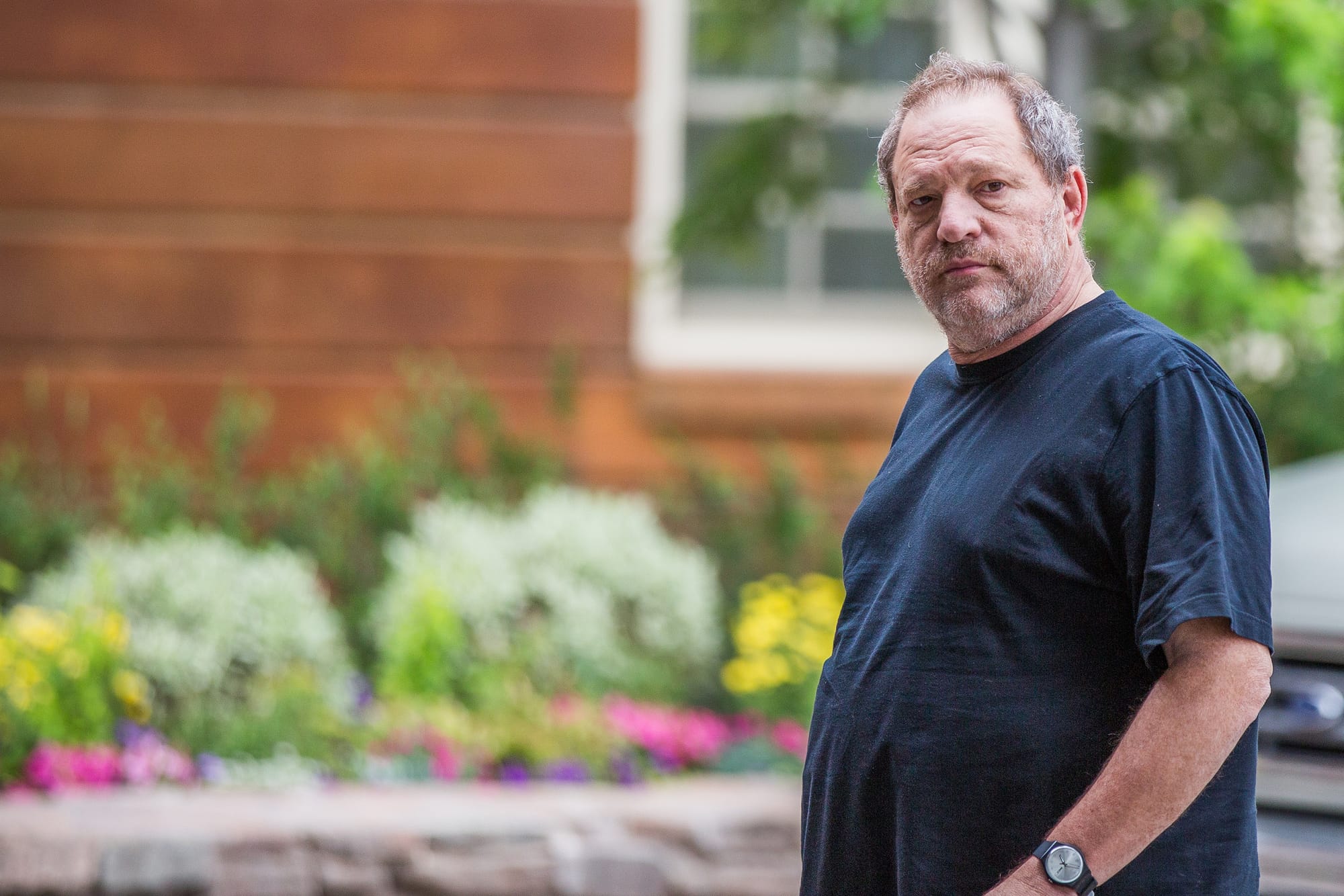 The Woeful Mr. Weinstein