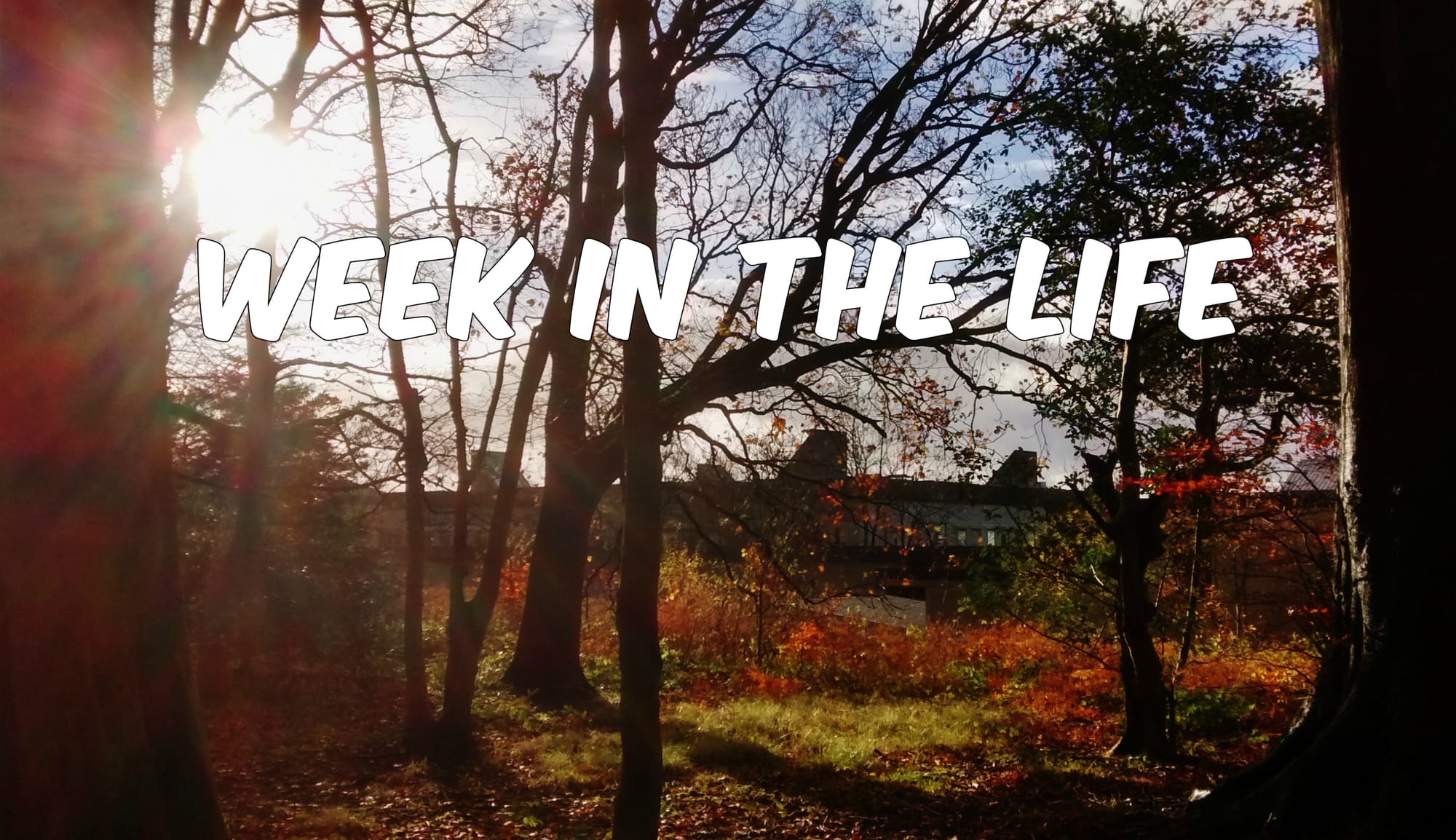 Week in the Life: Linguistics and Psychology