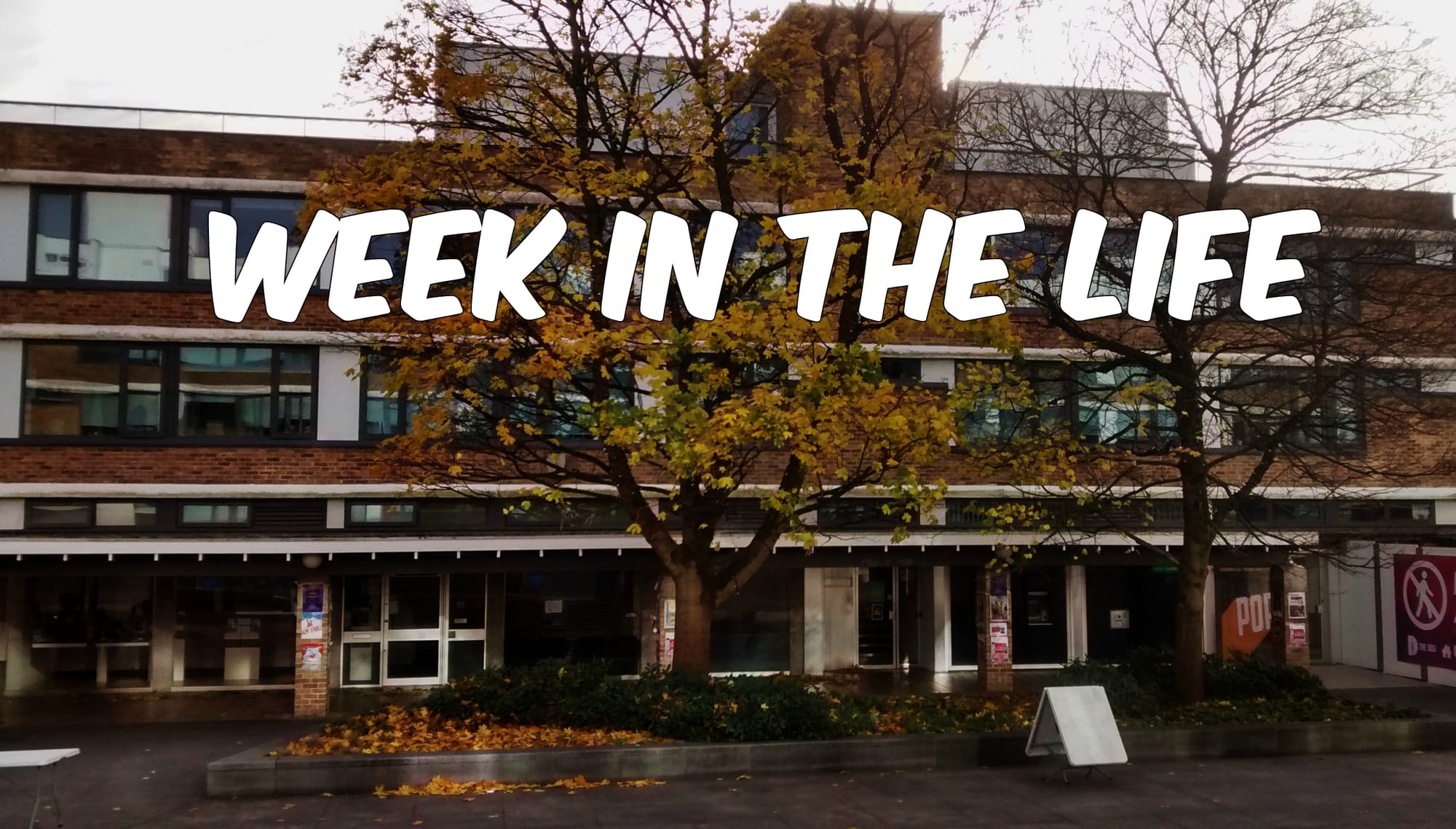 Week in the Life: Finance and Economics