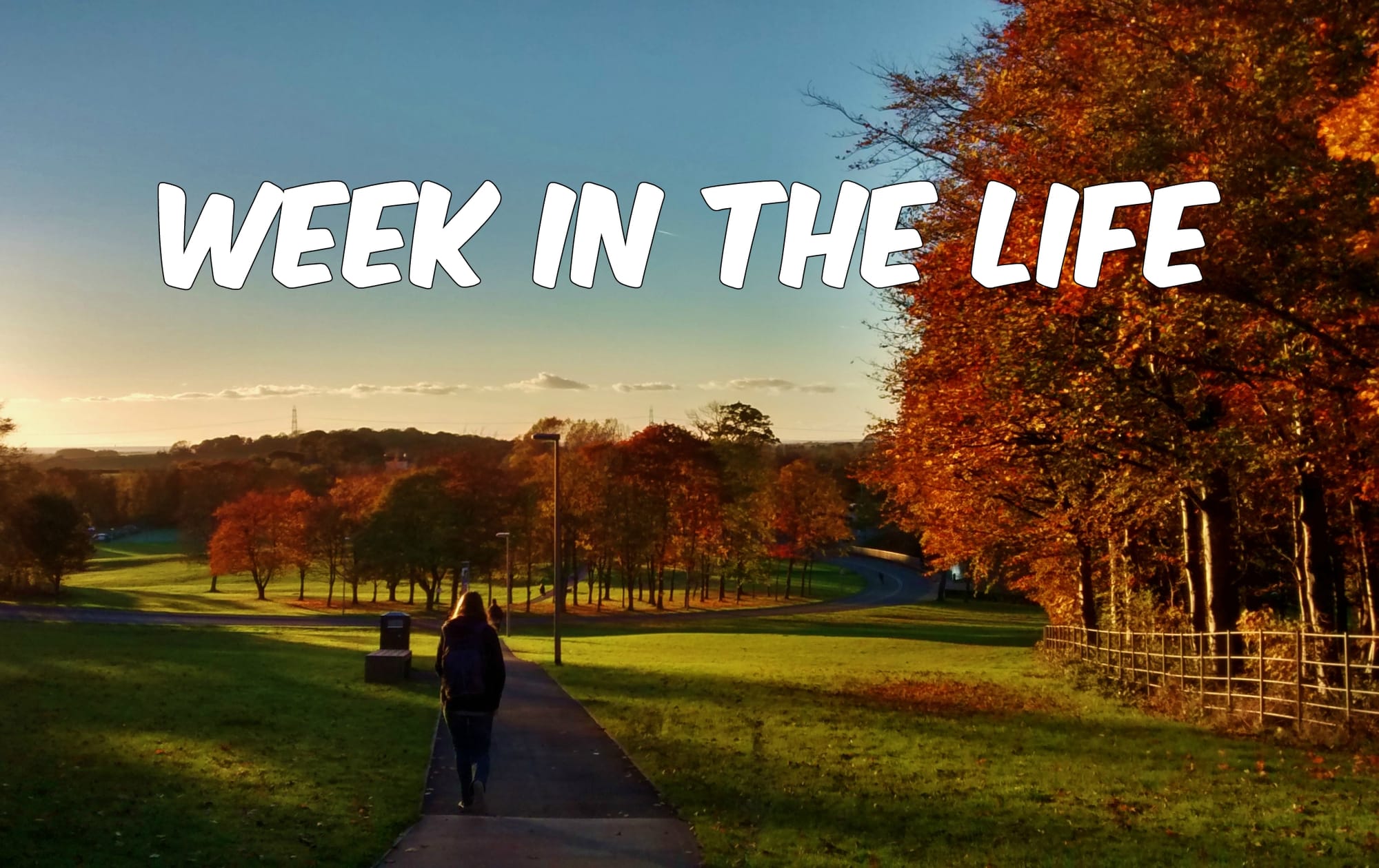 Week in the Life: English Literature and History