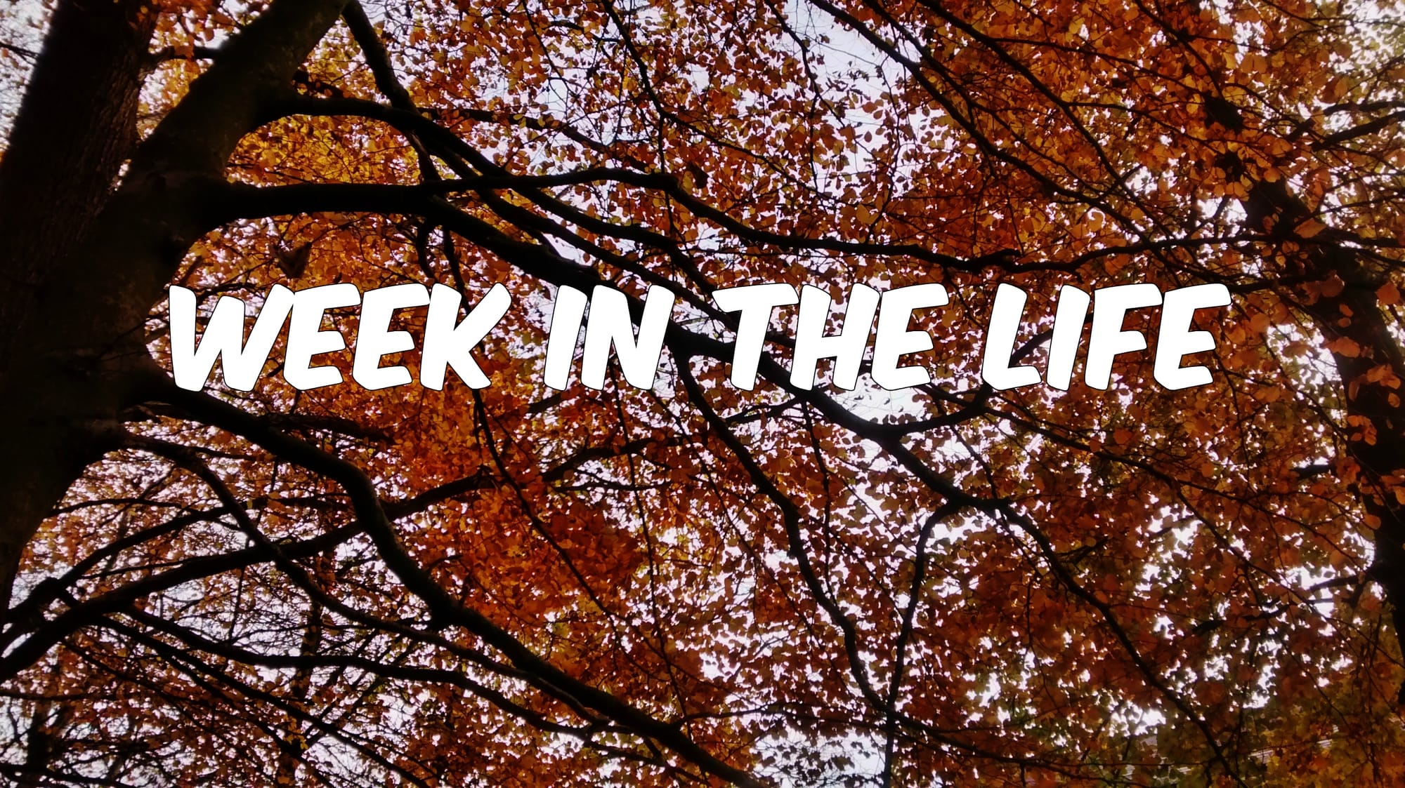 Week in the Life: Data Science
