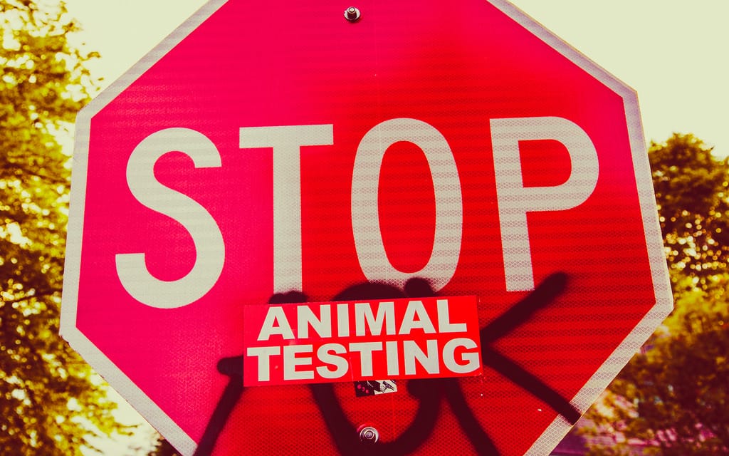Animal Testing in the Beauty Industry