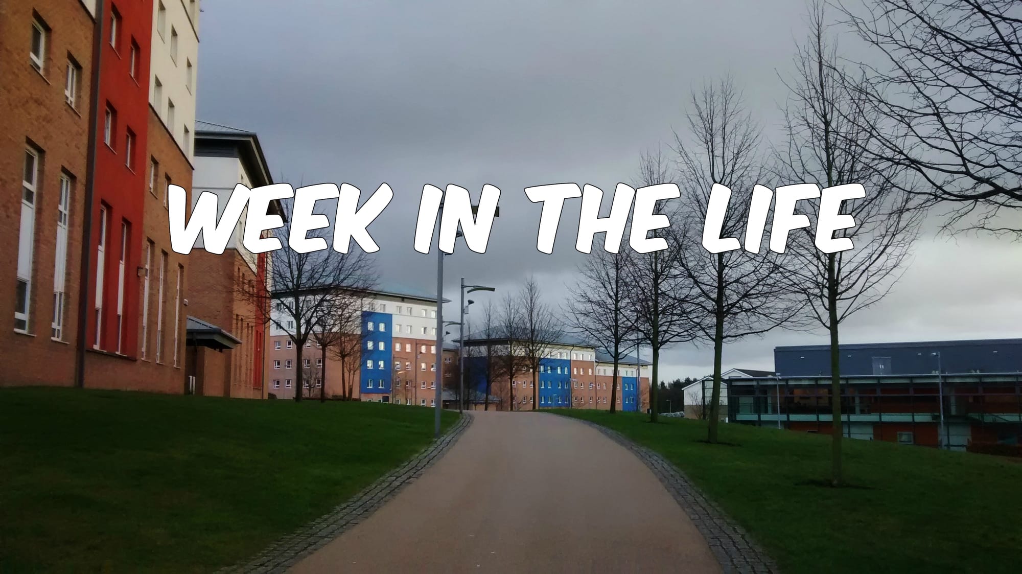 Week in the Life: Film and Philosophy