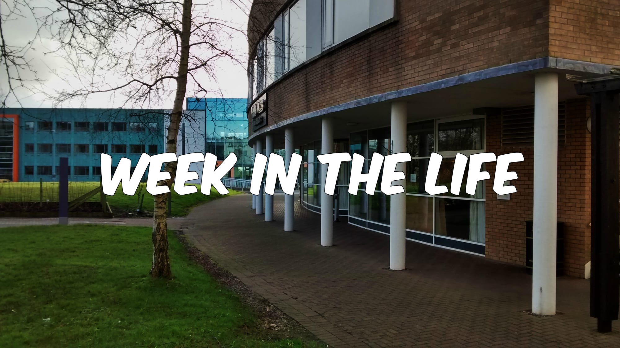 Week in the Life: English Literature and Politics