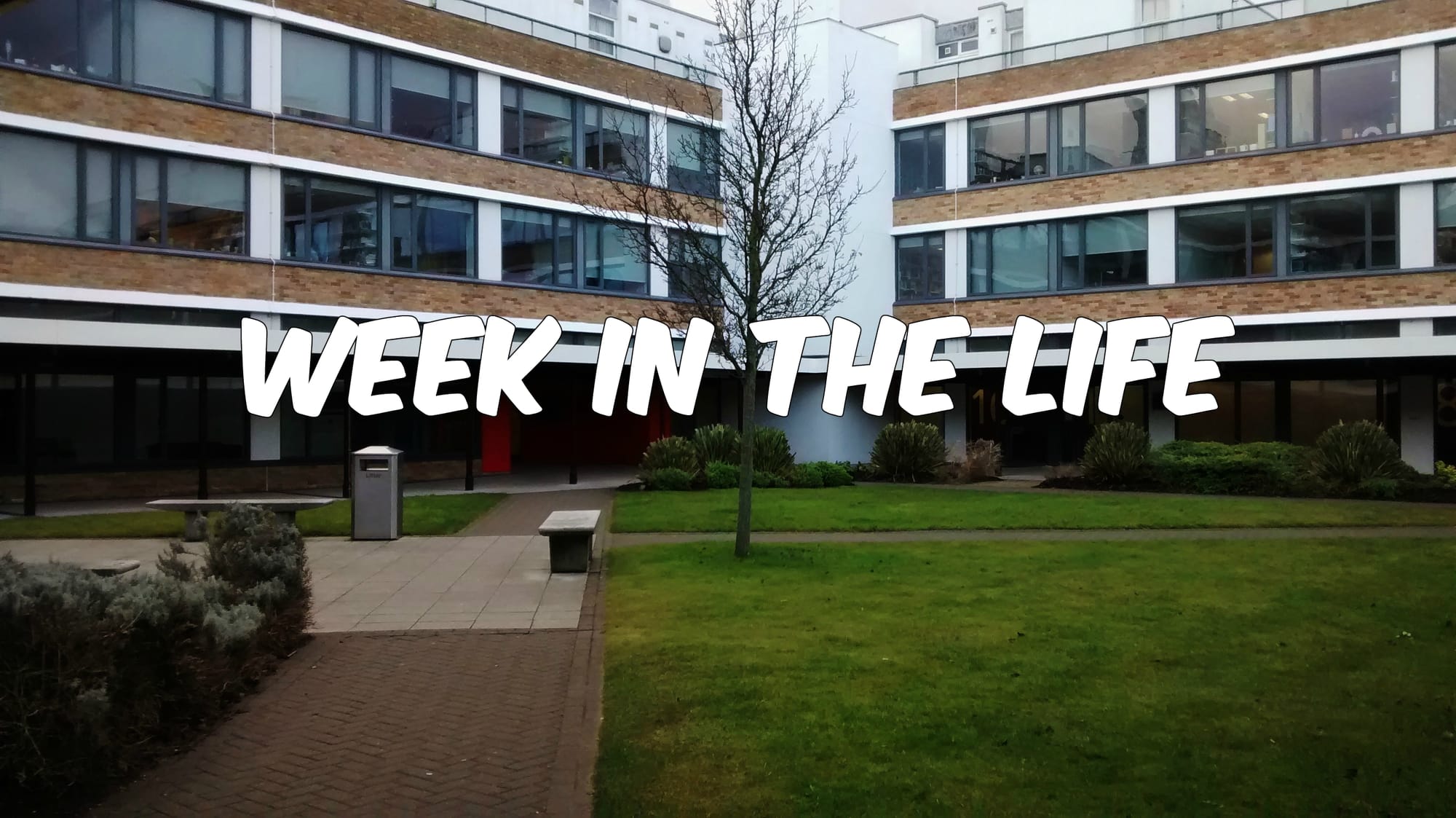 Week in the Life: Law