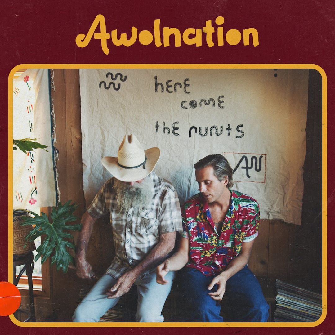 AWOLNATION's 'Here Come The Runts' – reviewed