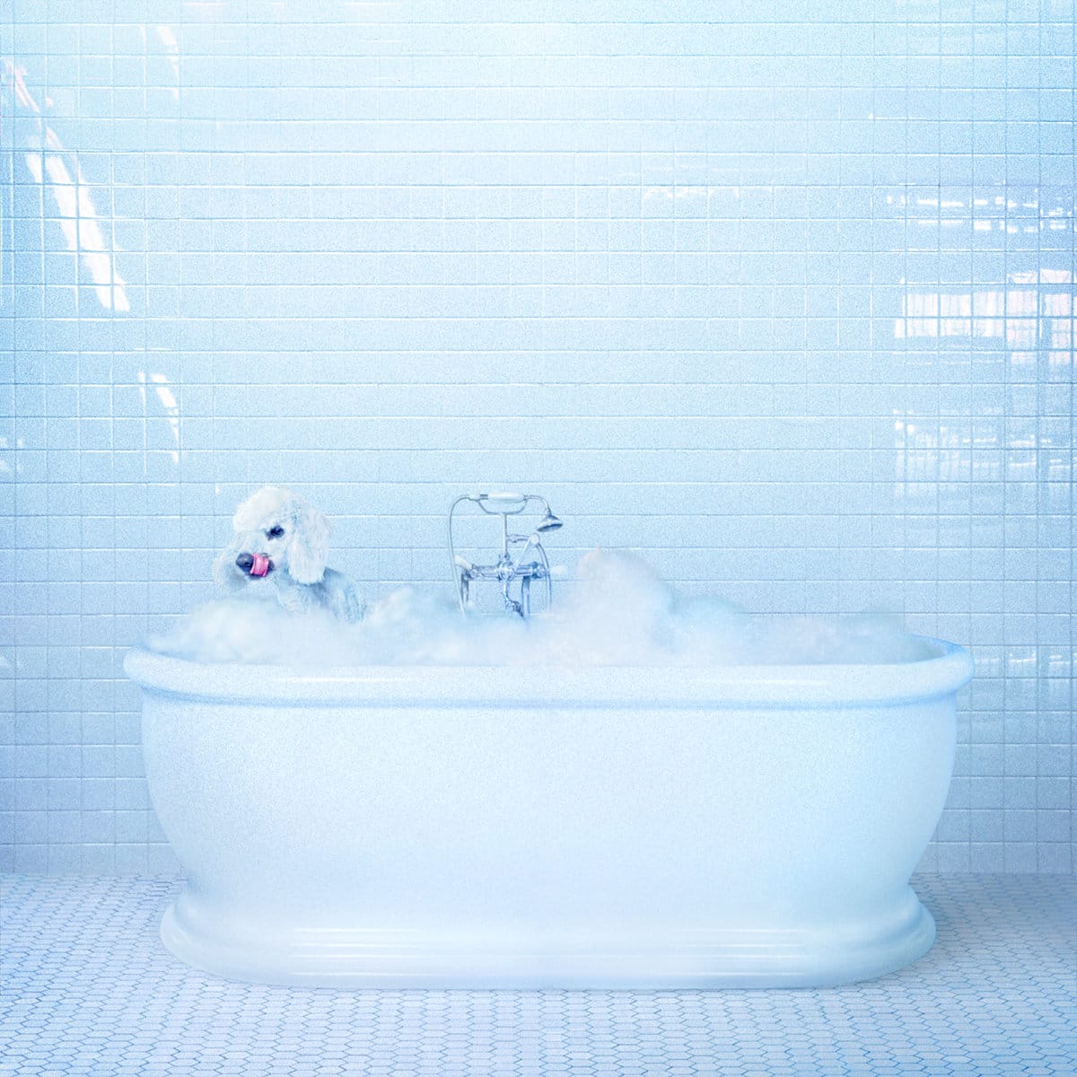 Album Review: Frankie Cosmos ‘Vessel’