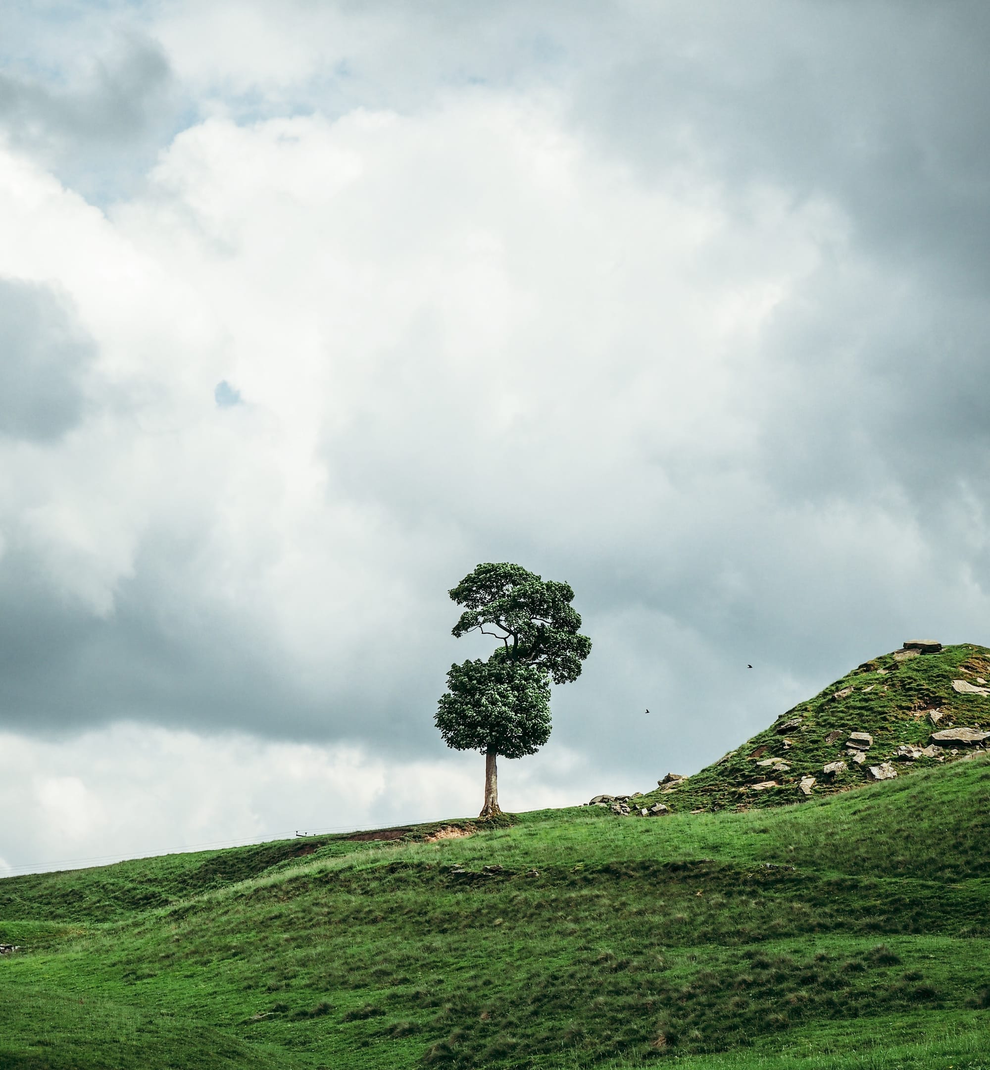 How To Find The Beauty In Everything