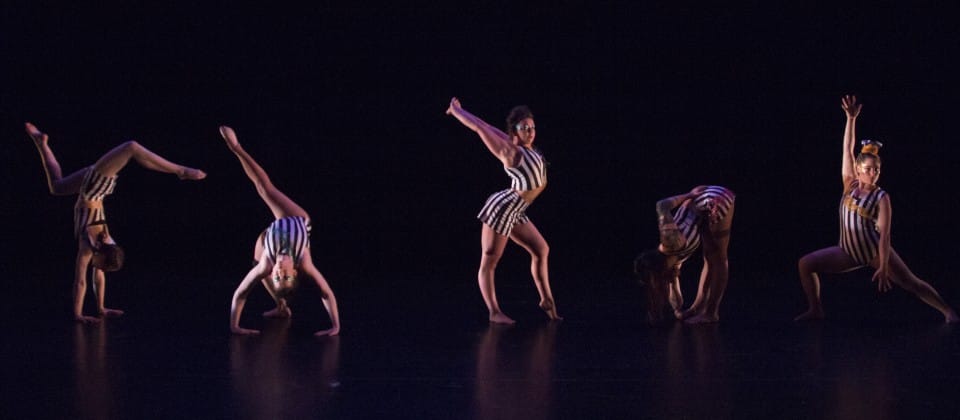 Ellie Dubois: No Show Review- Deconstructing the Audience’s Gaze