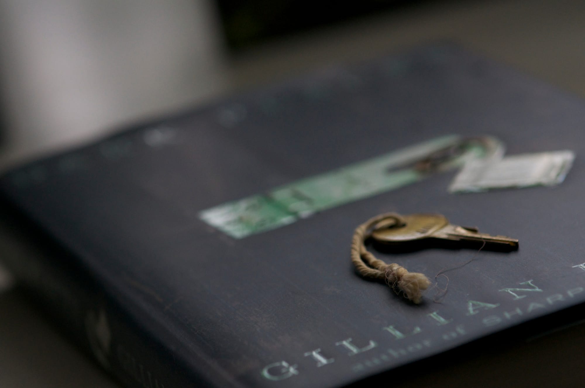 Artist Spotlight: Gillian Flynn
