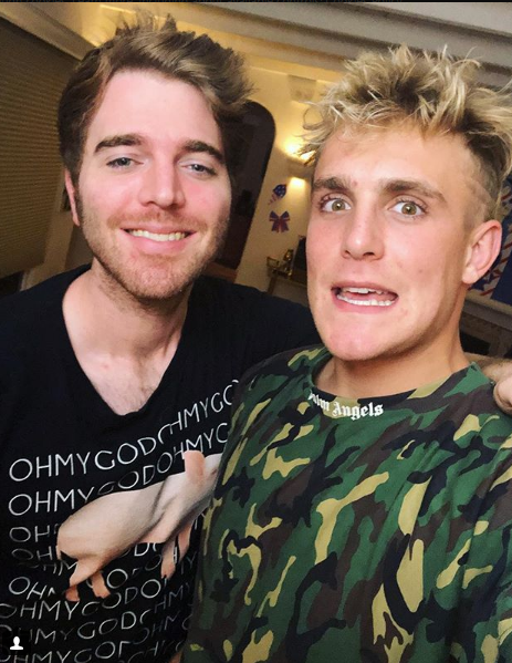 Reception to The Mind of Jake Paul