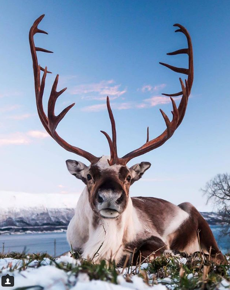 5 Ways to Have Festive Fun at Lancaster