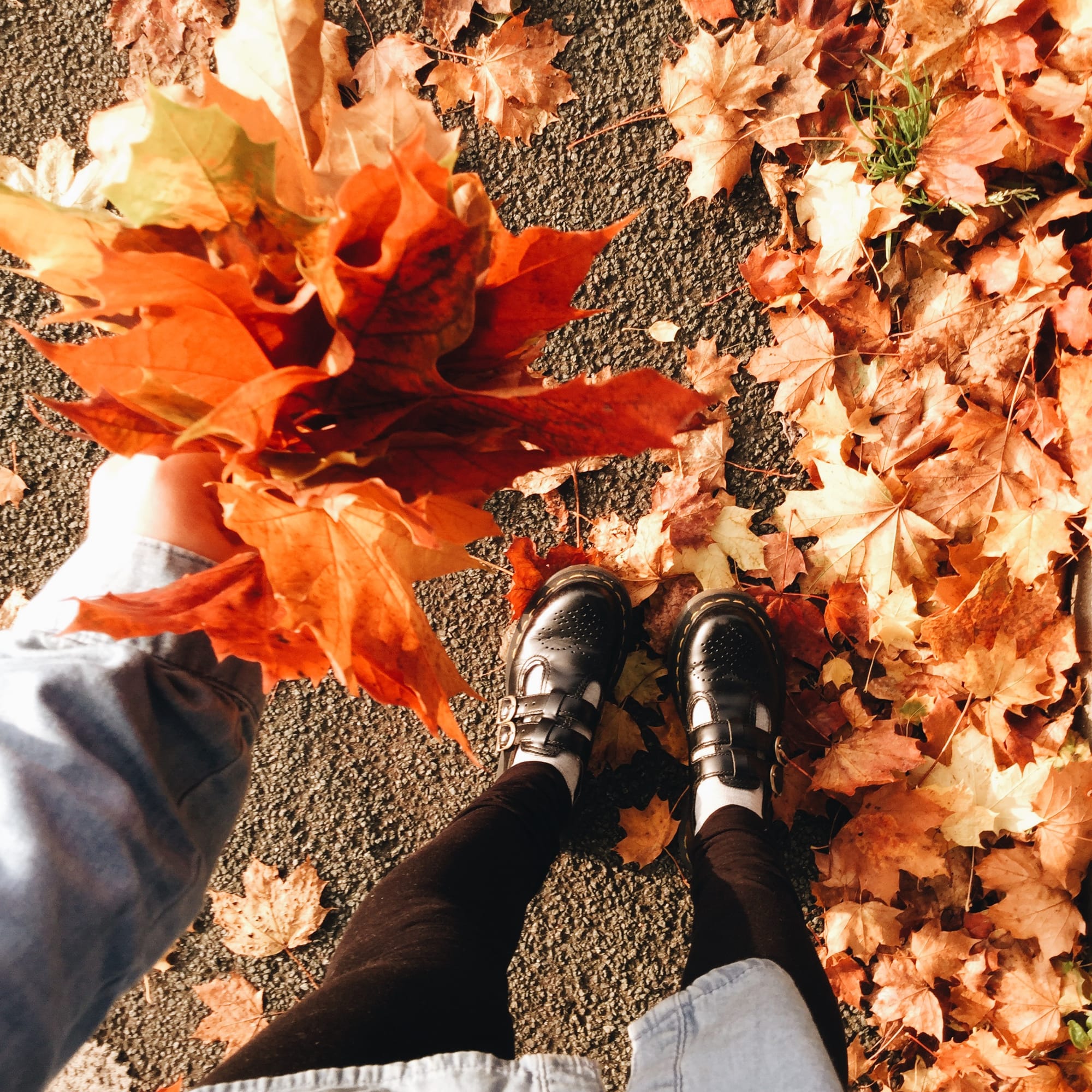 Autumn in Lancaster