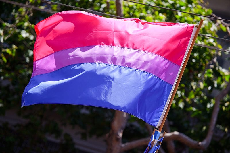 My (Bi)Sexuality Is Valid