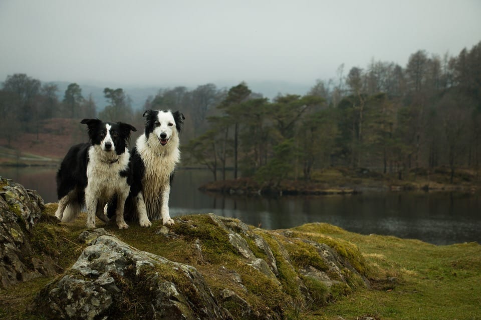 Reasons to visit the Lake District in 2020
