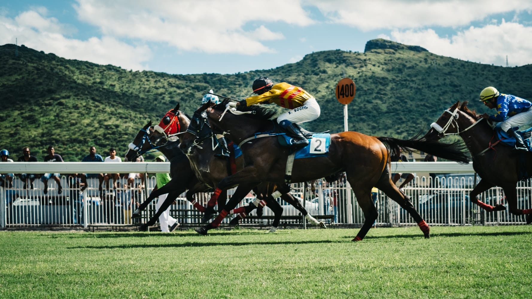 Horse Racing: One of Britain’s Great Sporting Traditions or a Cruel Sport to be Left in the Past?