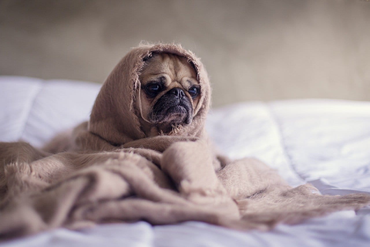 How to Keep Yourself Toasty this Winter