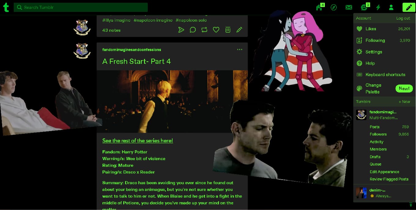 Fanfiction: Let people enjoy things