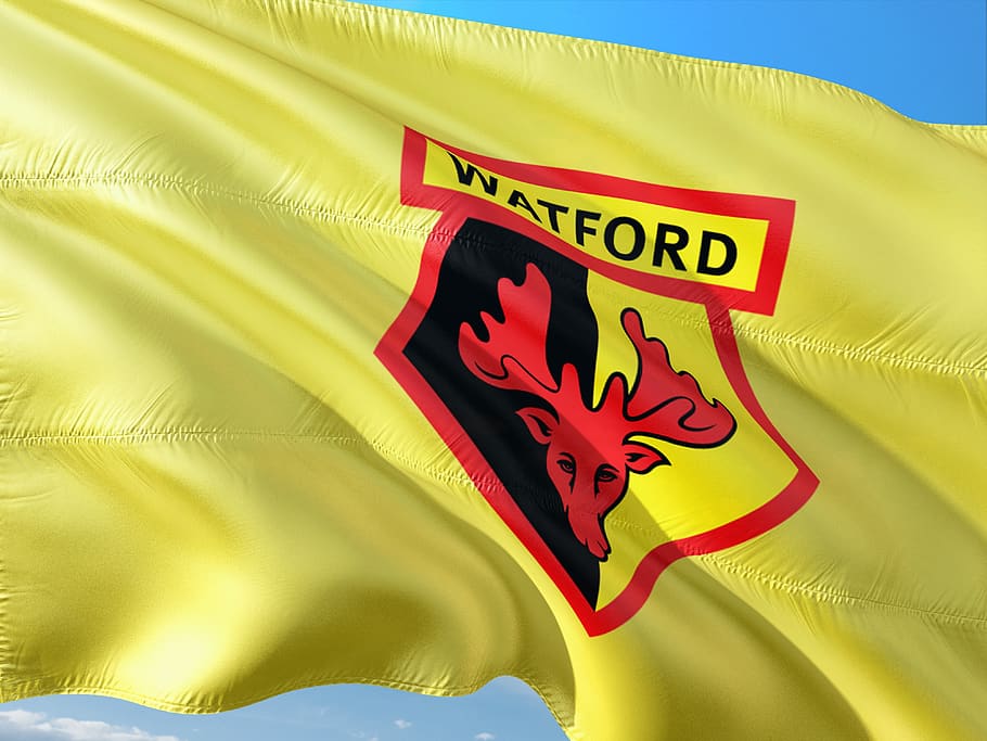 Watford miracle worker, Nigel Pearson deemed not miraculous enough!