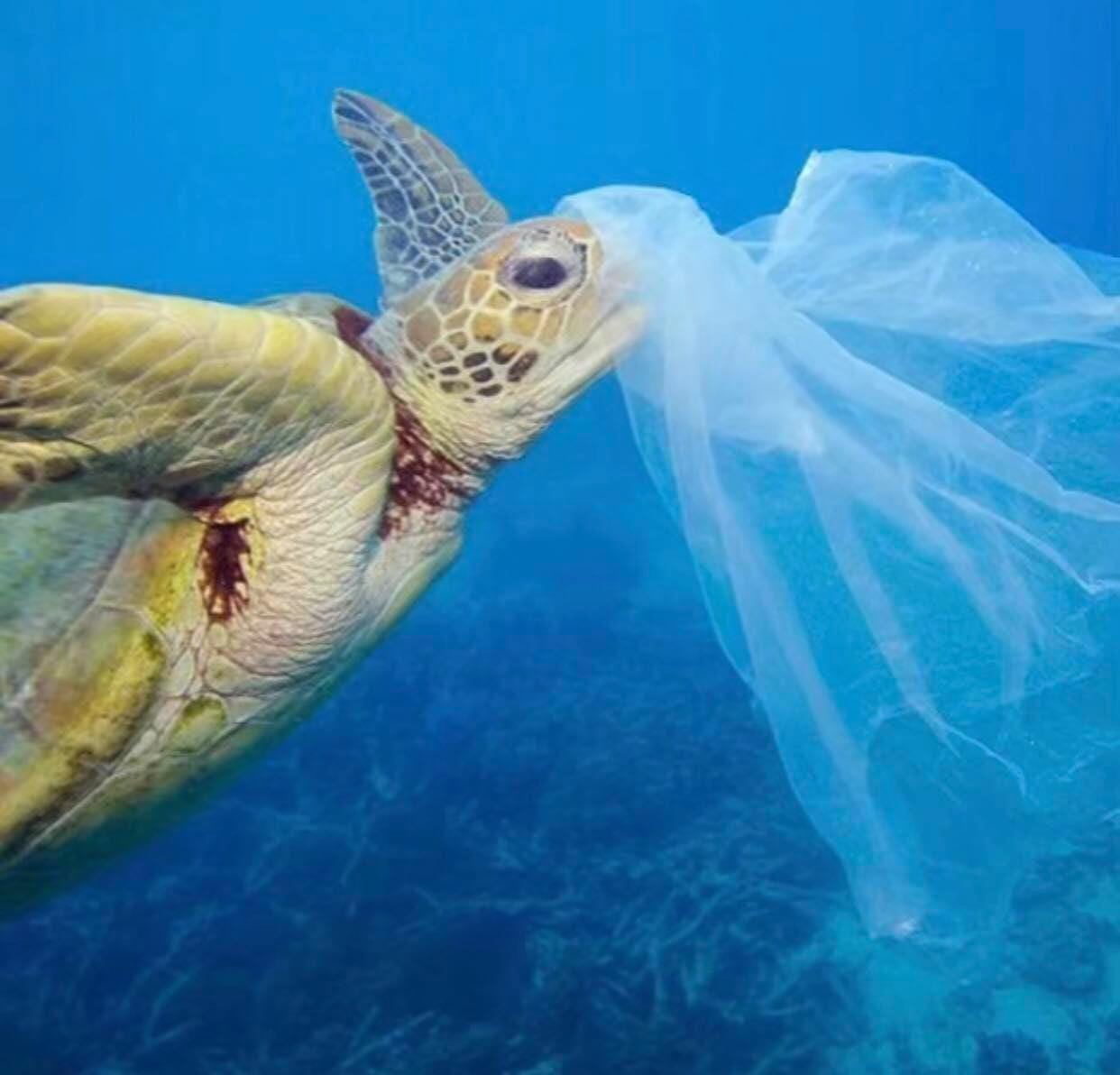 There is only so much cosmetics can conceal: highlighting the waste problem in the beauty industry.