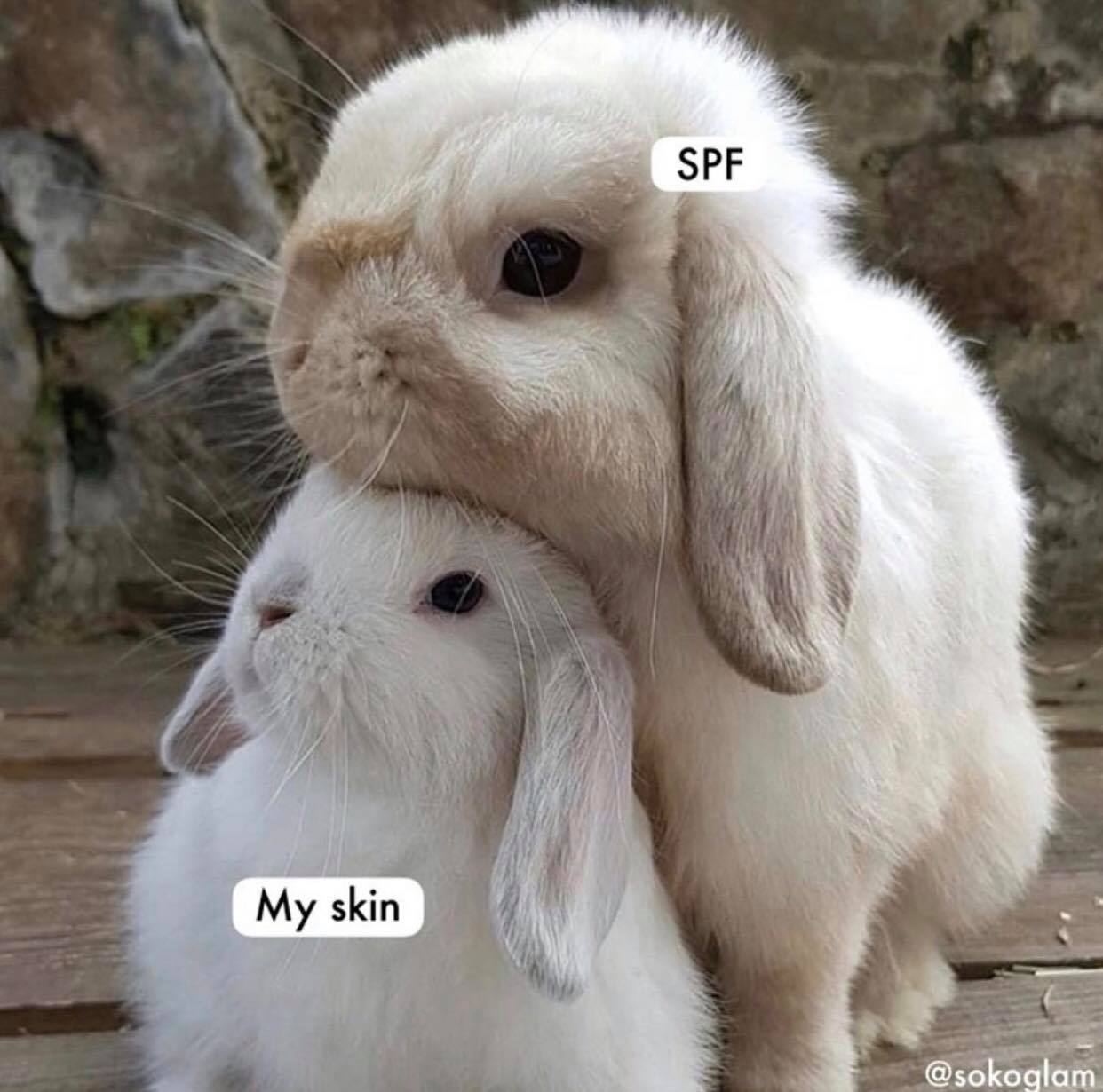 Why You Should Wear Sunscreen Every Day – Yes, Even in Winter