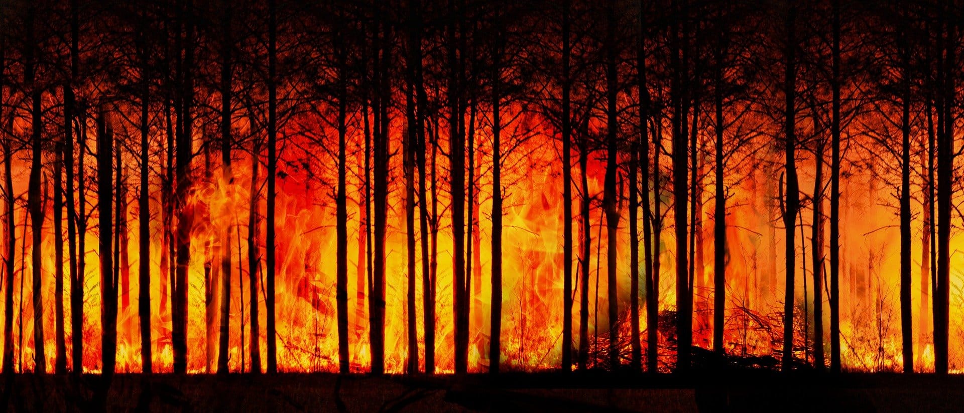 Can We Save The Planet?