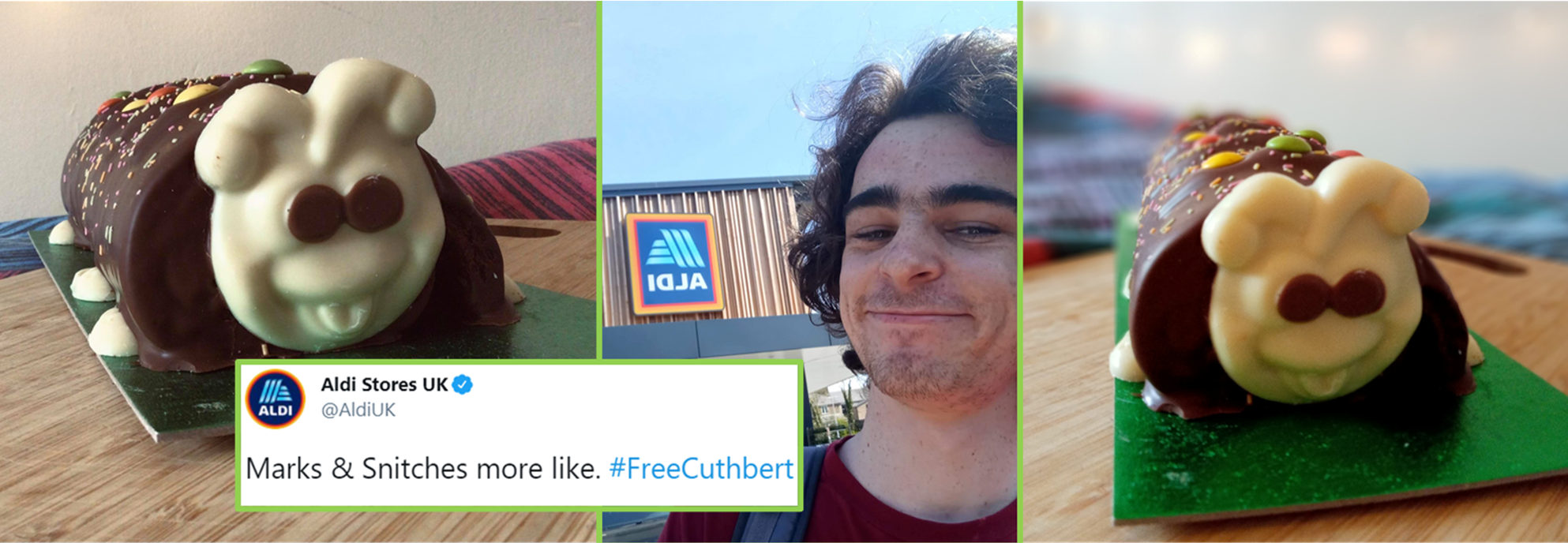 Cuthbert the Caterpillar – Yet Another Division in our Society?