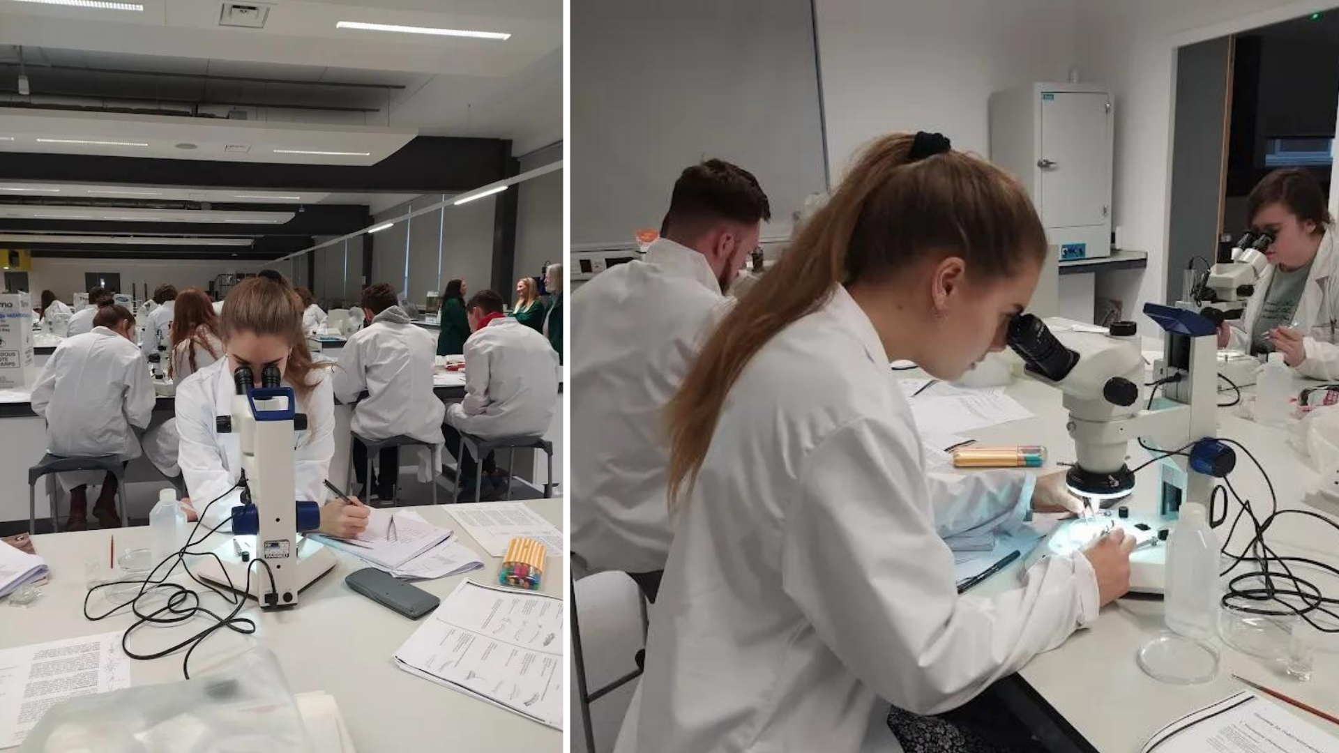Lancaster Biomedical and Life Science Students Write Open Letter After “Damaging” Exam News
